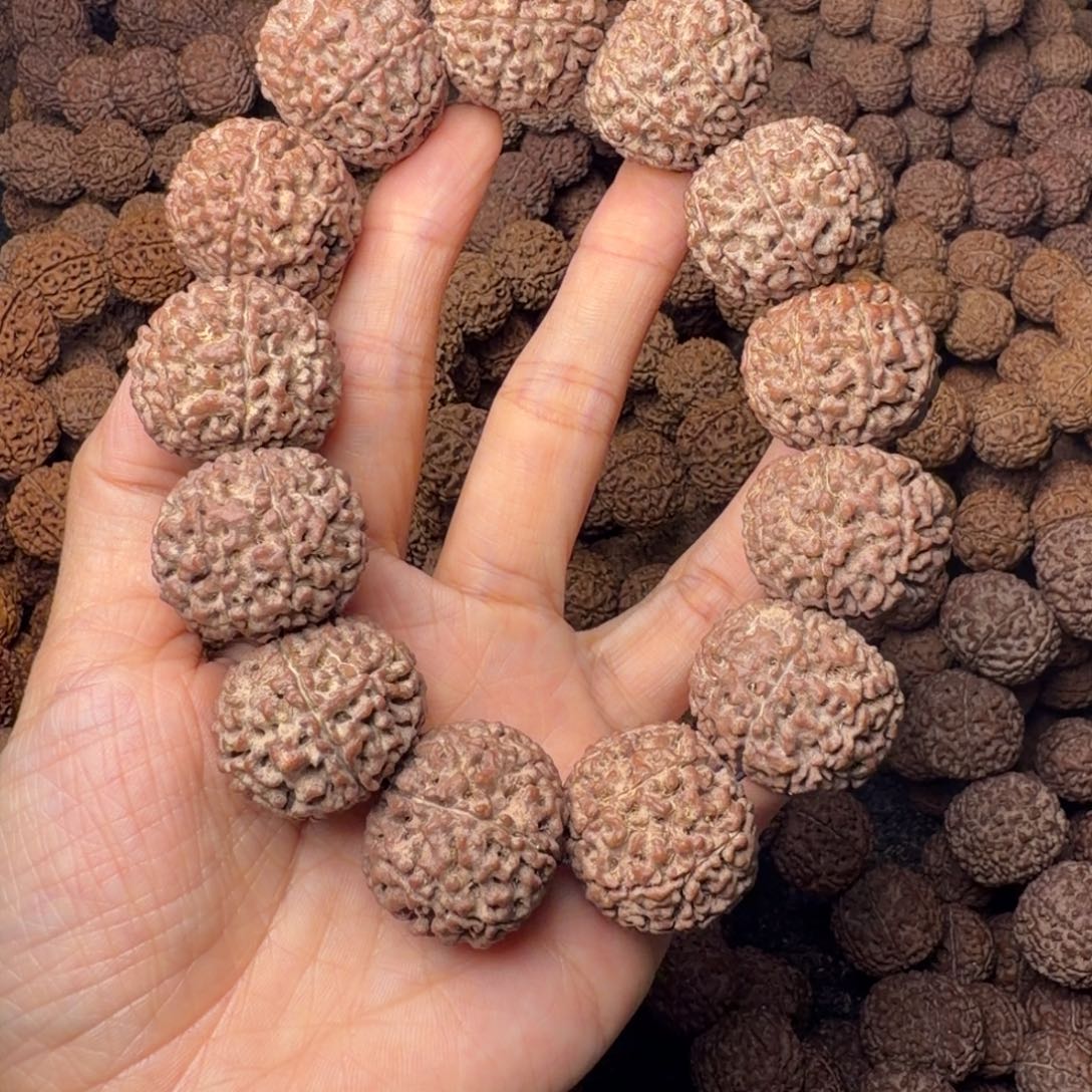 金刚菩提手串8瓣卡26尺，39号