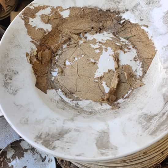 瓷发两个青瓷汤盘口径27*