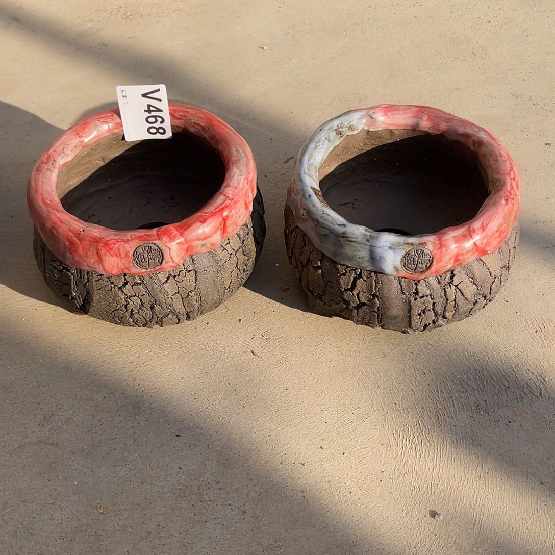 1***0坛子姐花盆 孤品中包子