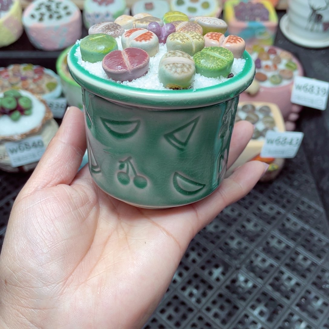 w6844 -零下地区拍保温箱-15支持寄养