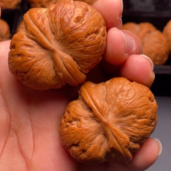 文玩核桃把件秦岭山脉核桃