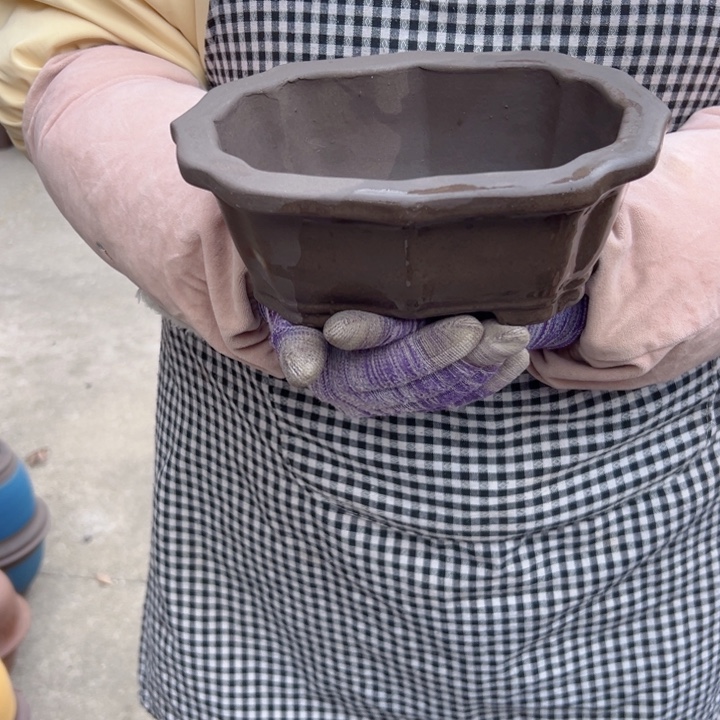 22莲花花盆一个花盆花盆