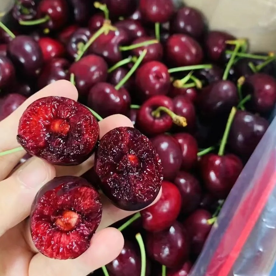 智力车厘子海运桑提娜单J级2斤智利