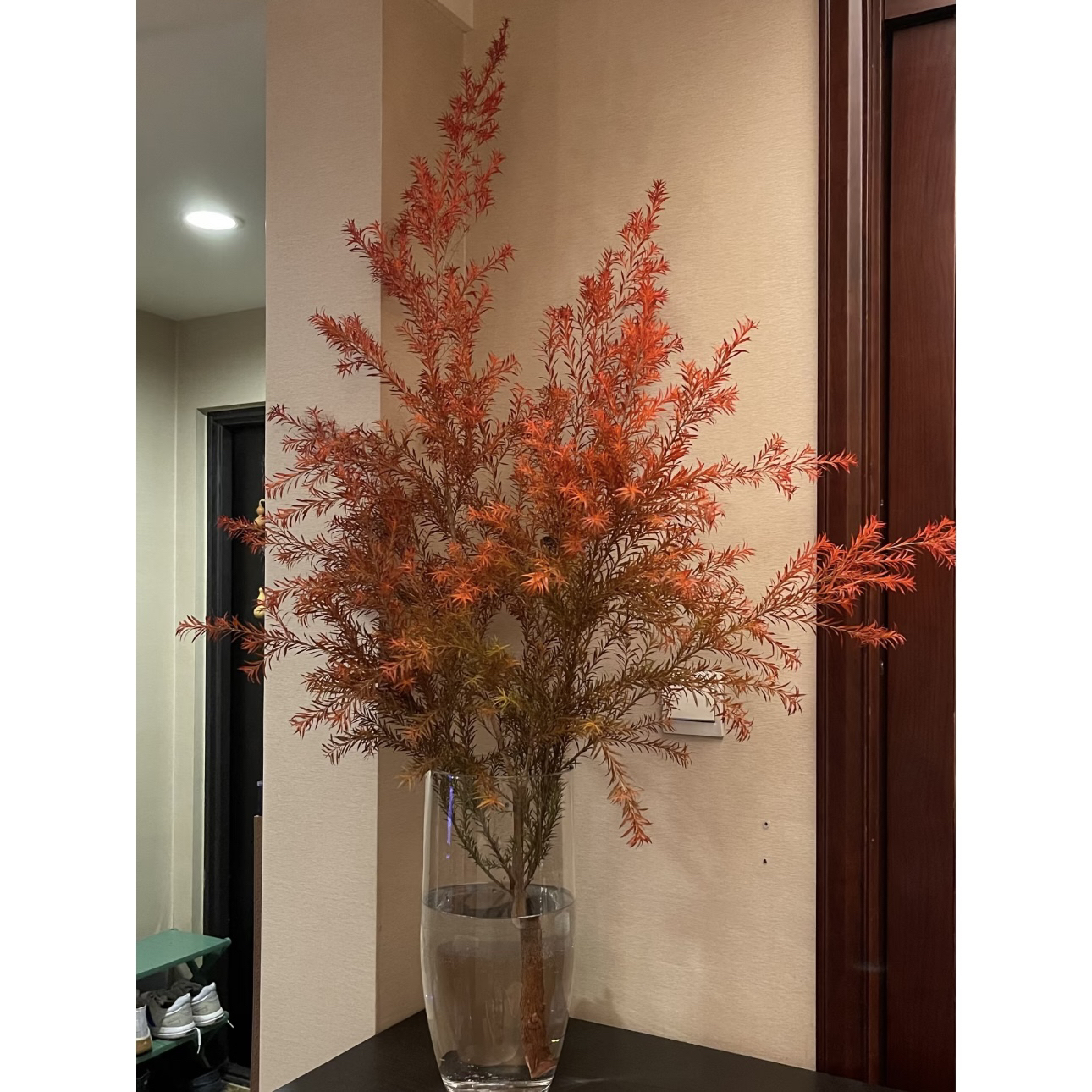 【杨鹏鲜花】红色千层金云南鲜花包邮