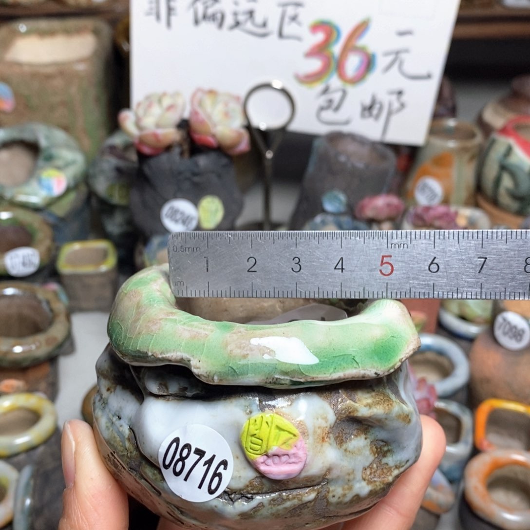 花盆拍3送一个小礼物