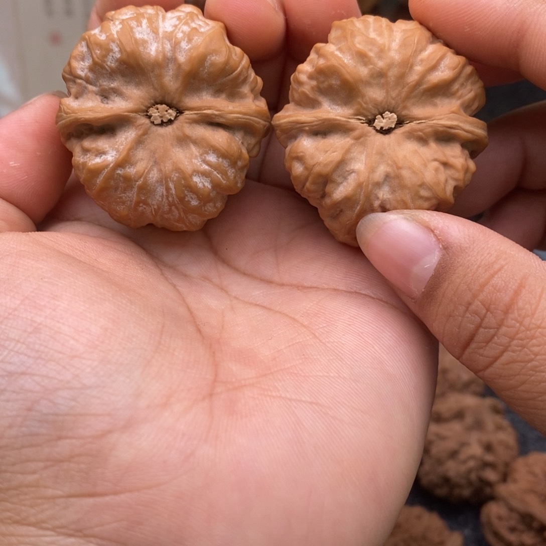 文玩核桃把件37蛤蟆头165