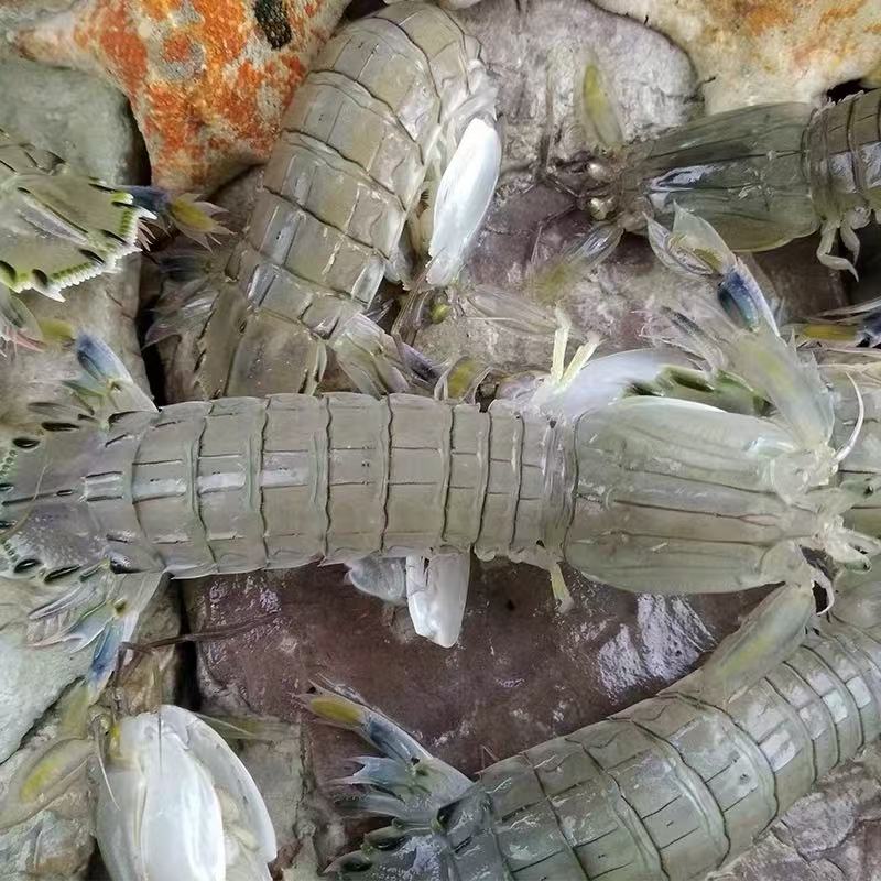 【当日达】皮皮虾肉2斤