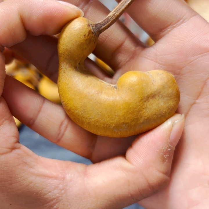 用****29998888888888888888