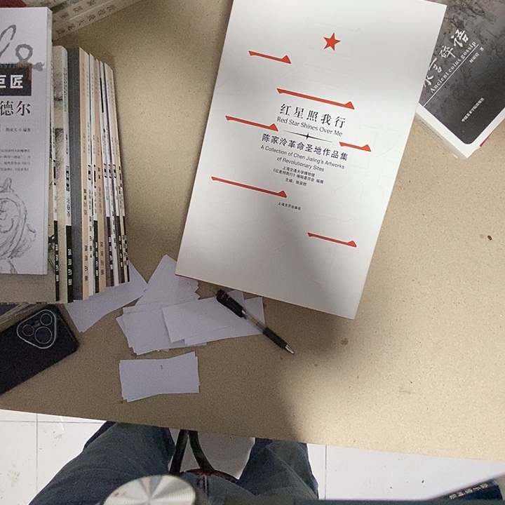 红星照我行陈家人革命胜地作品集