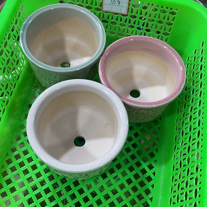 花盆抢购清货马上开始