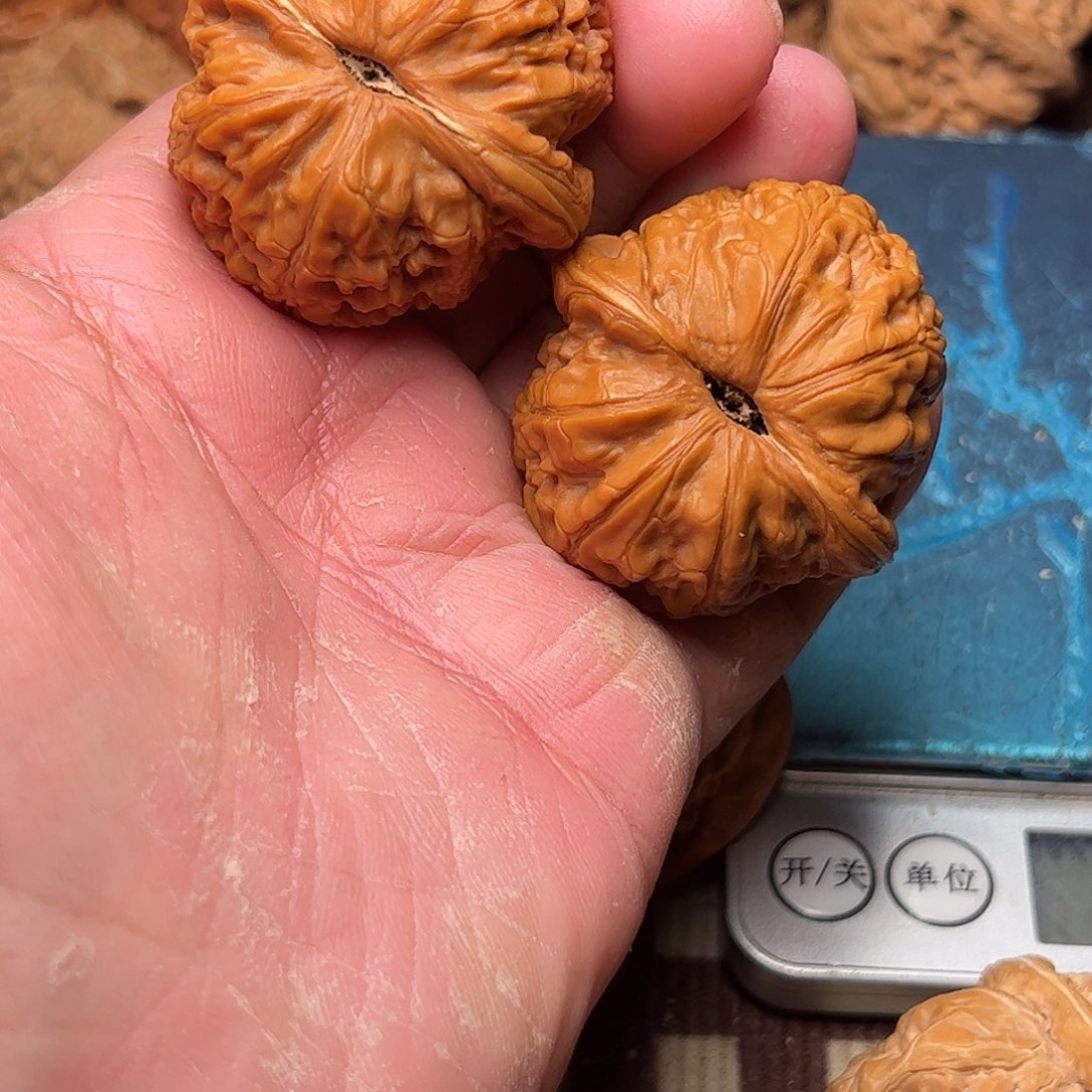 澄***澄文玩核桃老树元宝