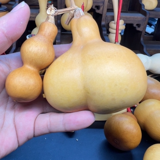 青***华葫芦葫芦等经济林木生长在高山