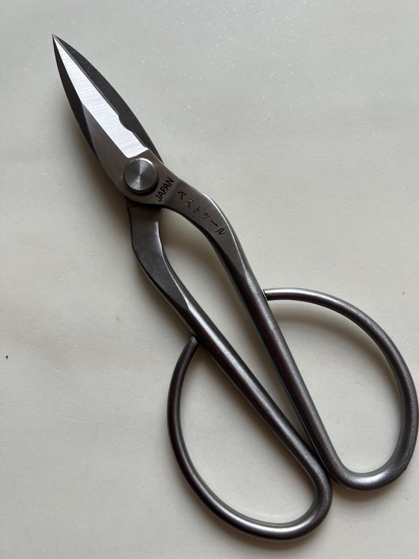 大号芽剪 叶芽剪