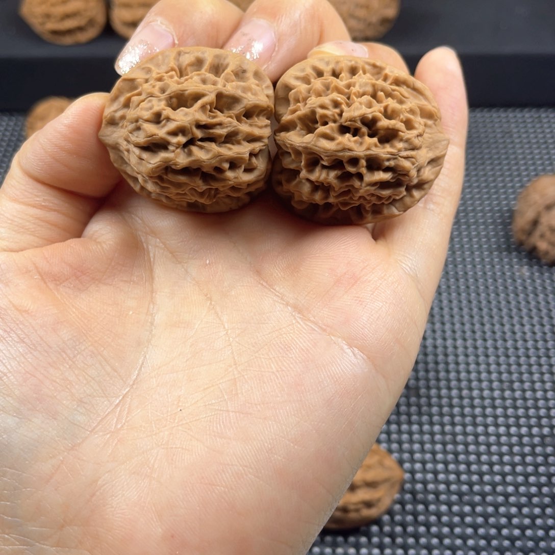 佛****?秦岭神树秦闷小王