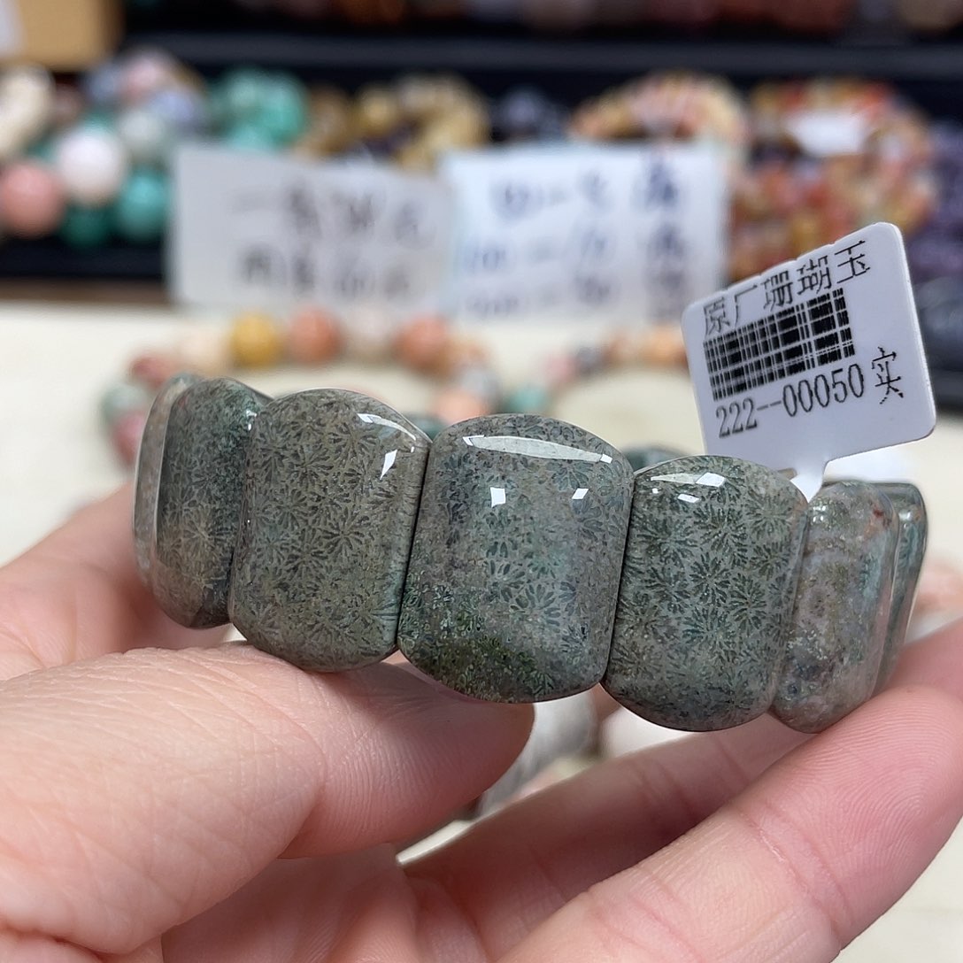 未镶嵌手串硅化珊瑚（珊瑚玉）鱼***画560