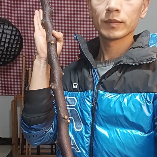 S***X太行山酸枣木鞭杆