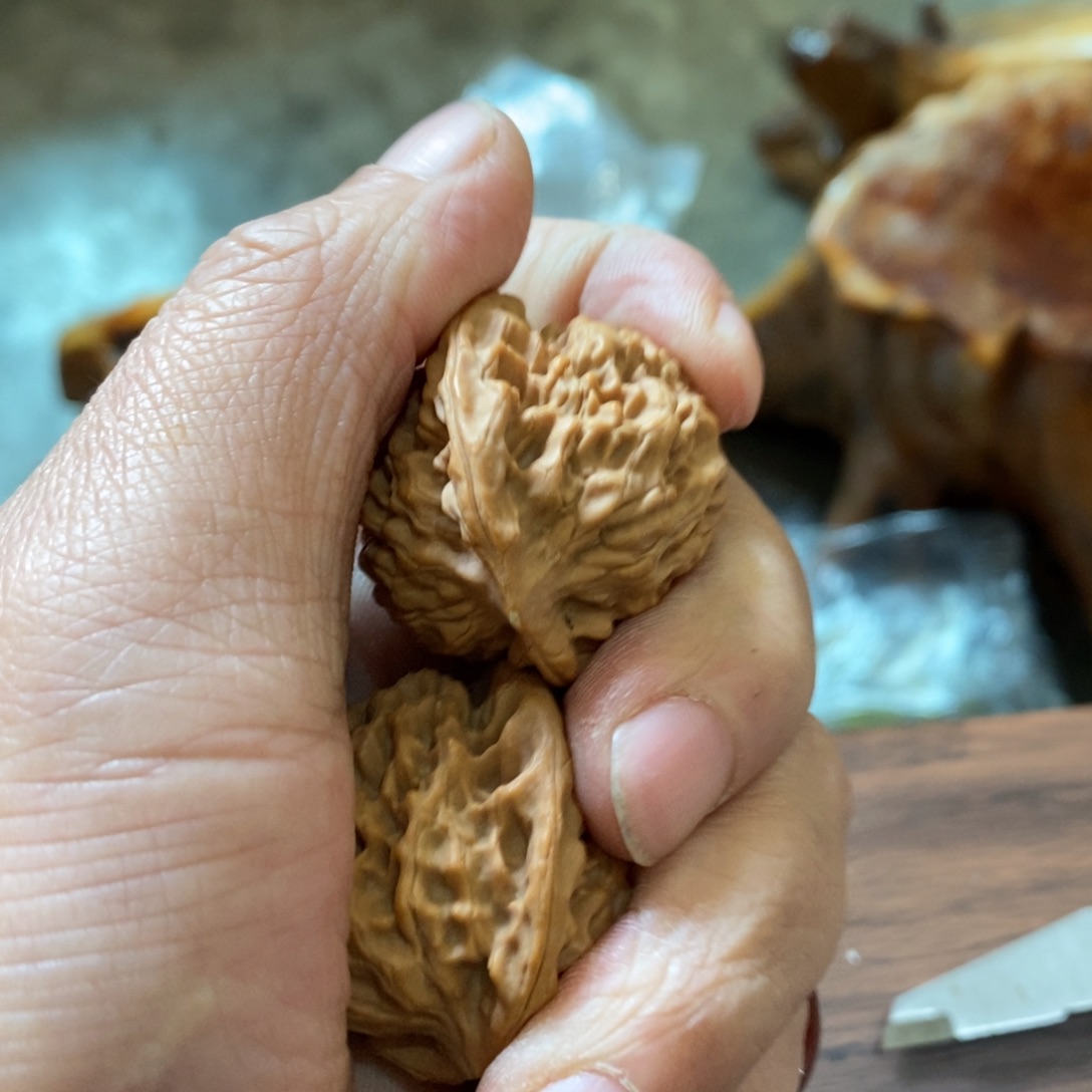 秦岭南侧和东北的山门