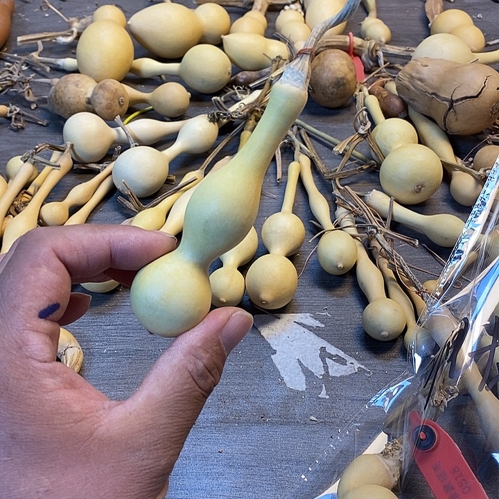 `***H手把精品文玩葫芦