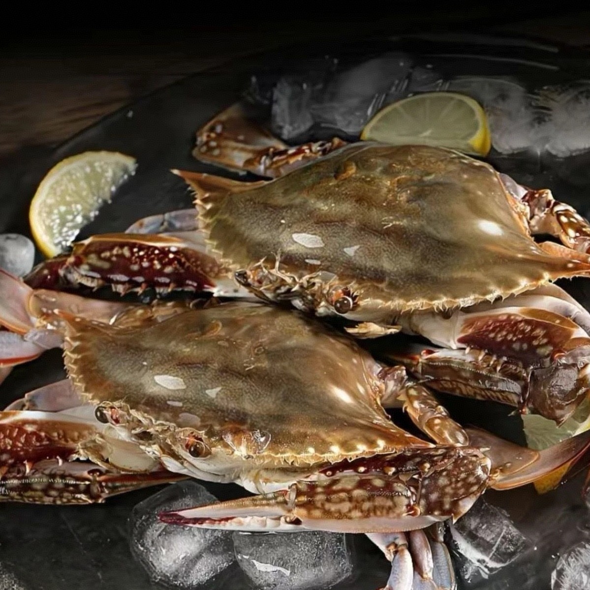 【保鲜不保活】1本地肥母（ 2.5-5两/只）一斤2-3只