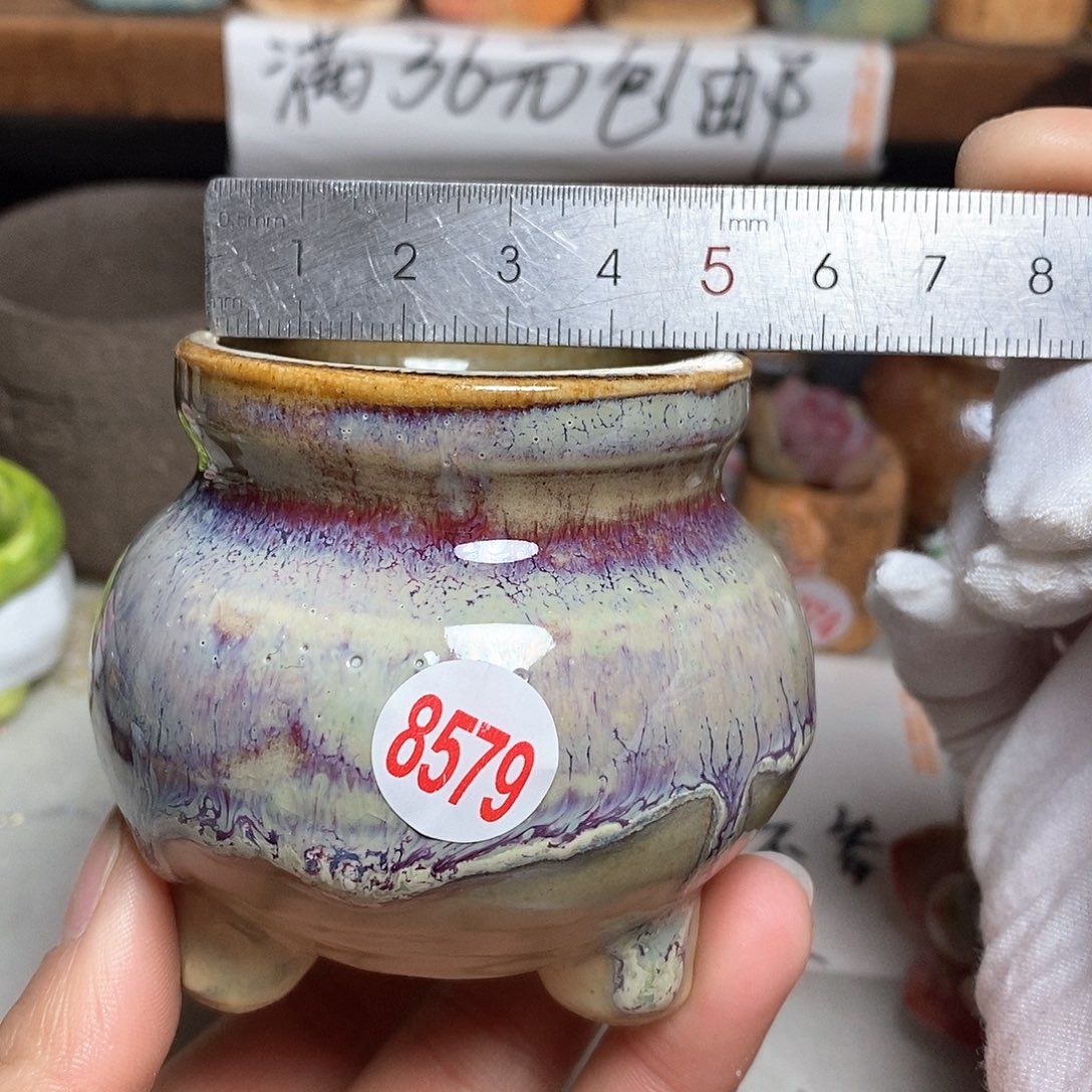 红陶拍5送一个小