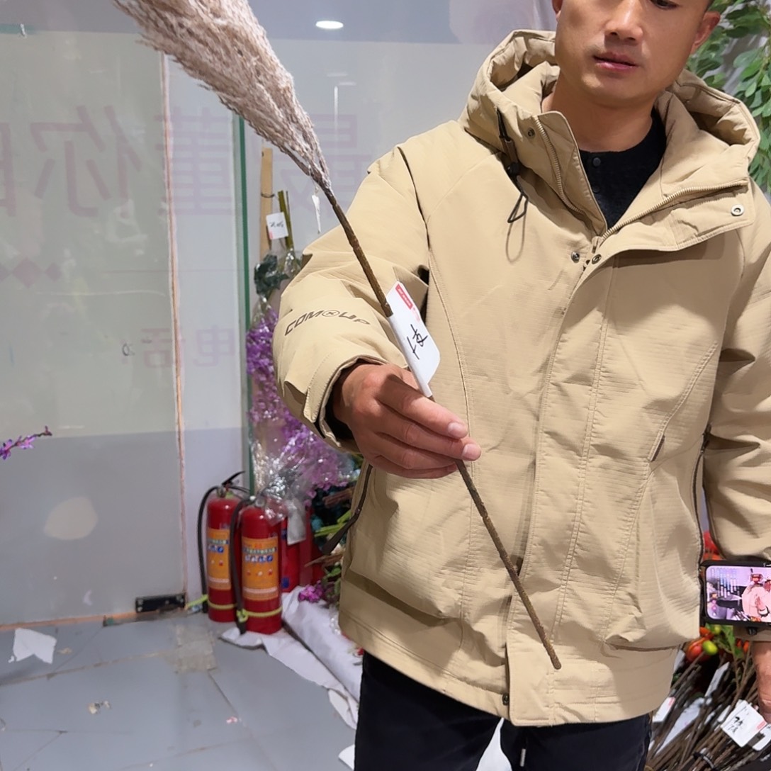 白色仿真芦苇4枝装