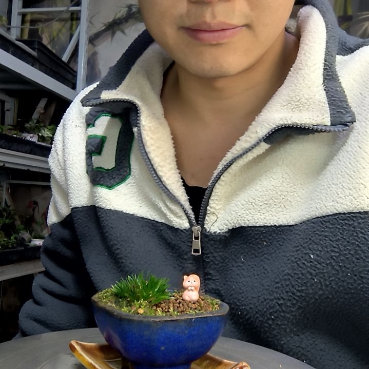 橙***色中青园艺一物一拍花81