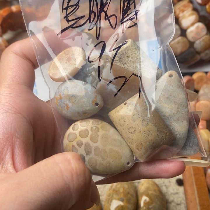 *****颈饰未镶嵌硅化珊瑚（珊瑚玉）