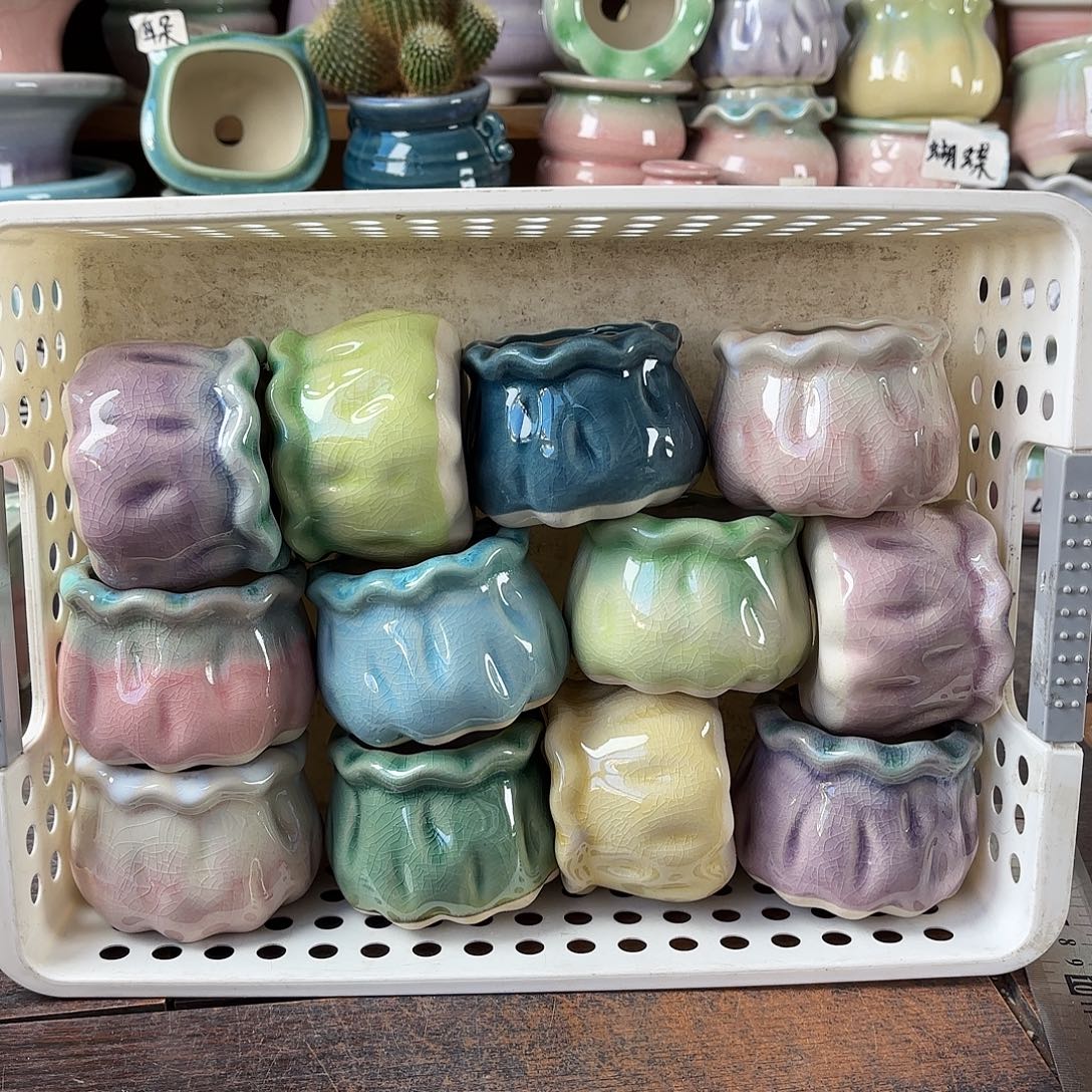 量货/5口高5深浅搭配发6