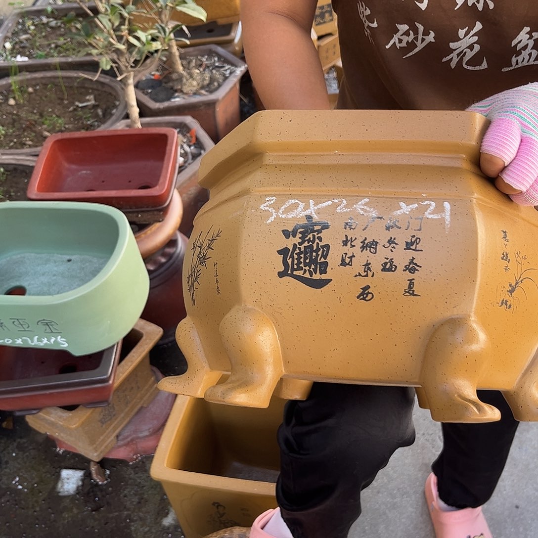 紫砂花盆盆景艺术