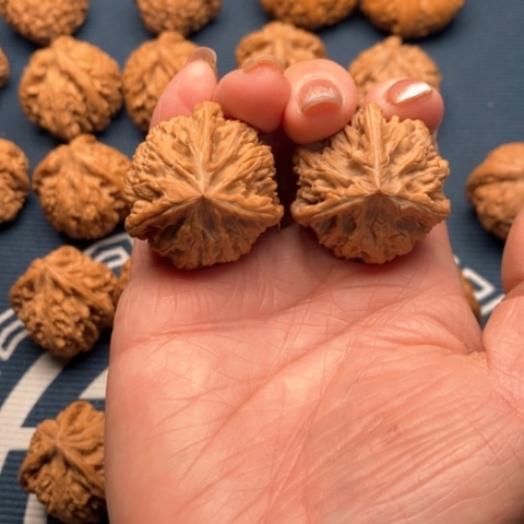 橄榄核手串/手链文山34全品