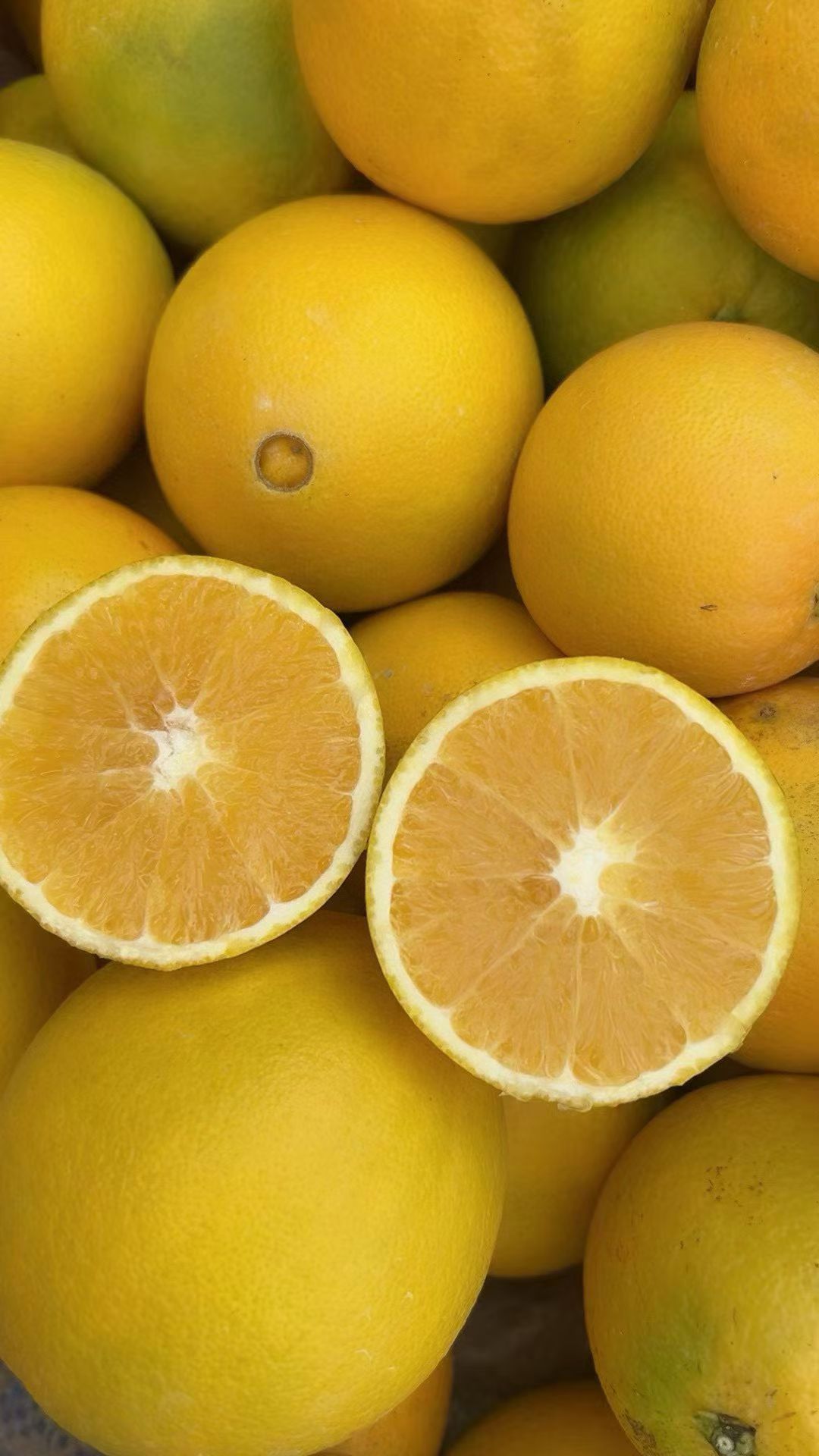 正宗赣南脐橙新鲜应季水果香甜多汁果园现摘现发