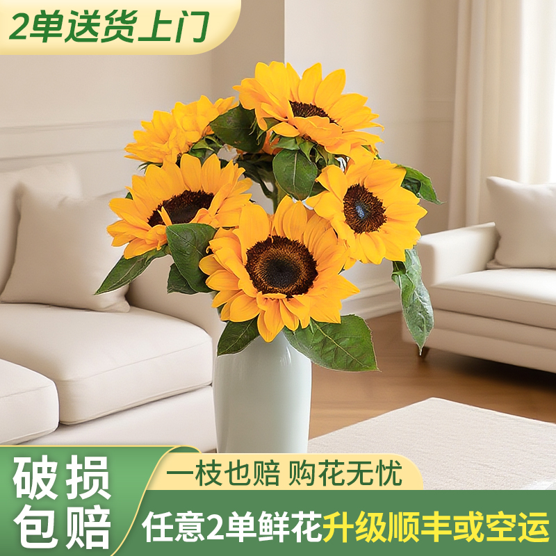 【源头优选】向日葵-任意2单升级快递 发货后不支持退款