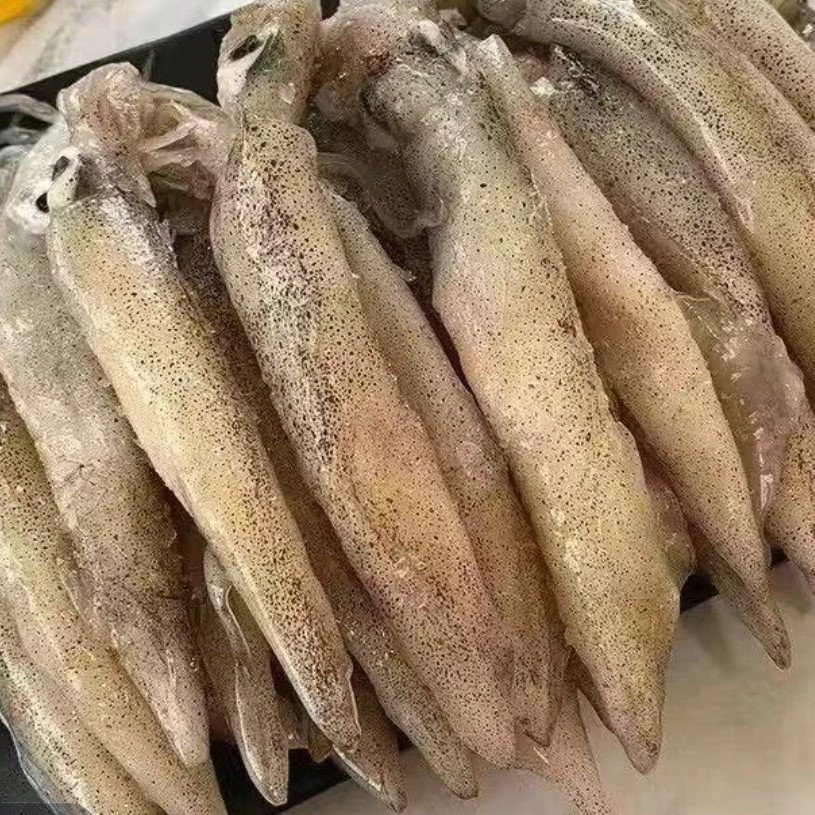 5 斤新鲜海兔海鲜水产鲜活生鲜 毛管鱼 乌鱼墨鱼冷冻小管鱿鱼