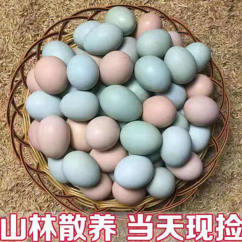 新鲜鸡蛋正宗散养农家虫草蛋粉乌鸡蛋混合儿童孕妇营养整箱批发