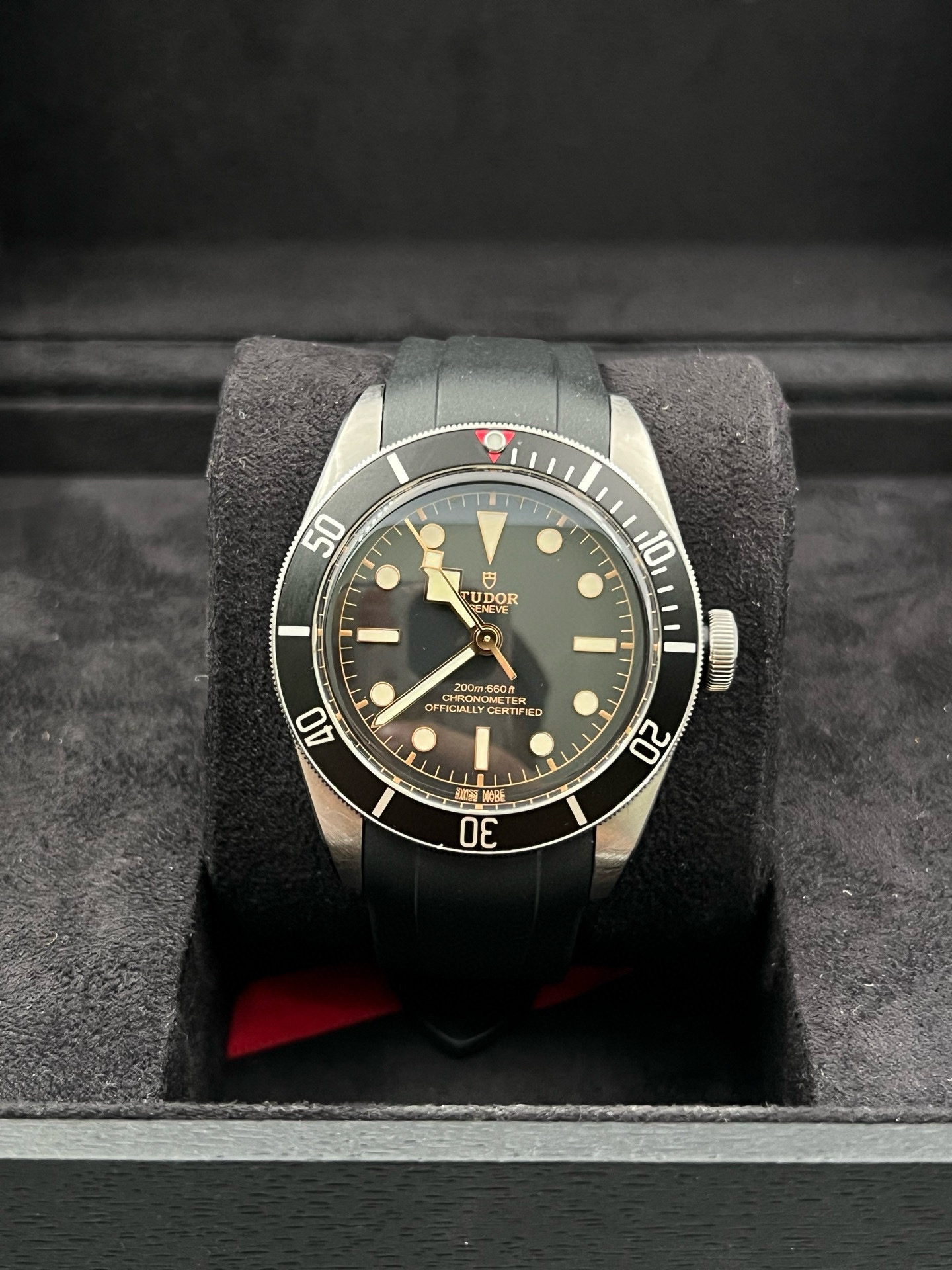 95新 TUDOR/帝舵 帝舵碧湾系列/79230/41mm/黑金/单表
