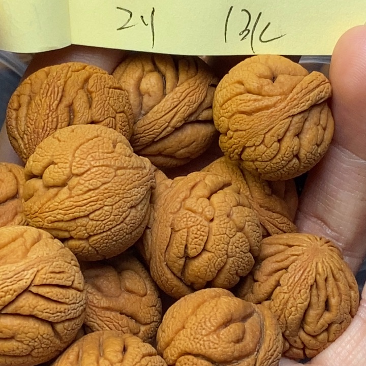 吊坠桃核秦岭龙纹桃核21