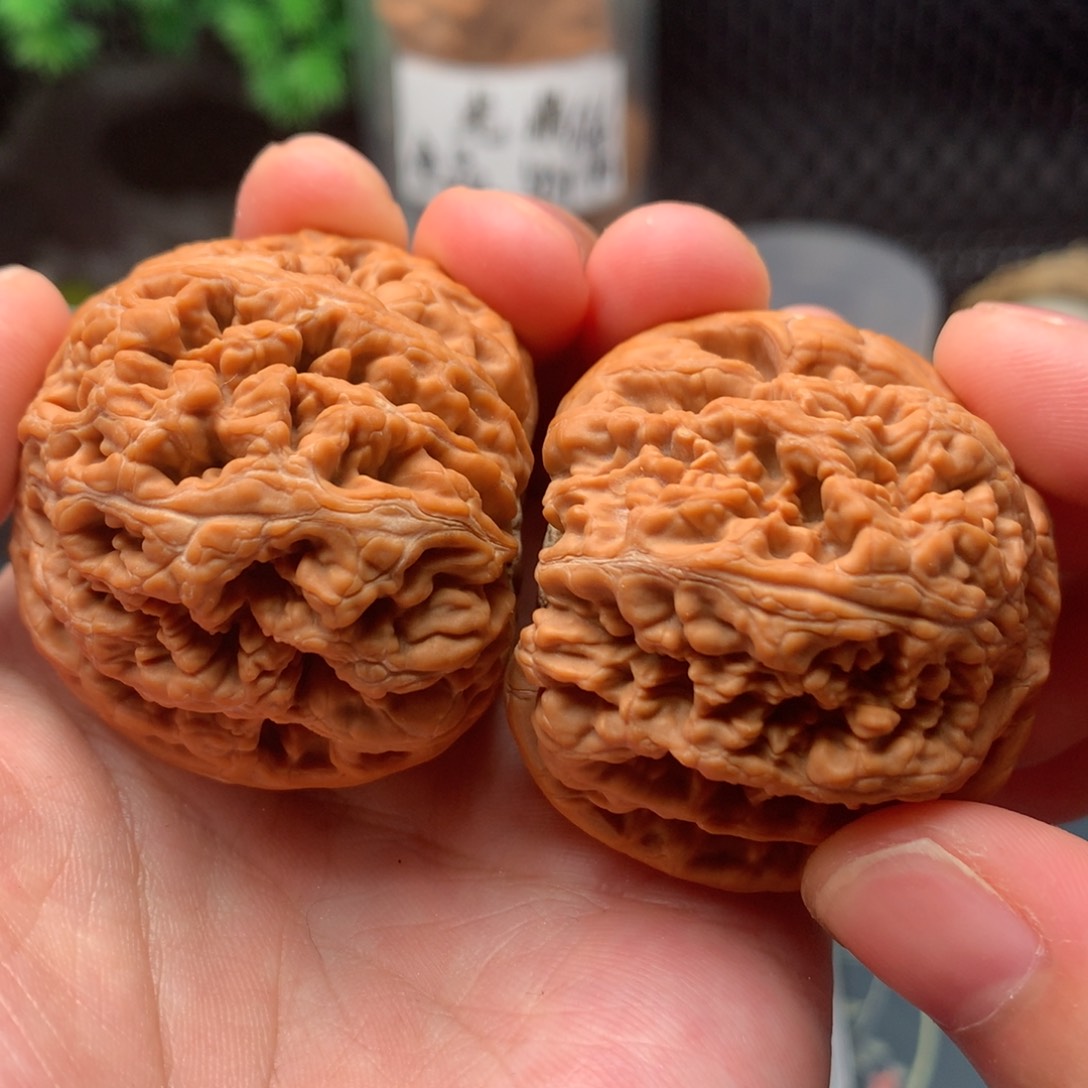 【闪购商品】桃核把件粗筋43-16237-3