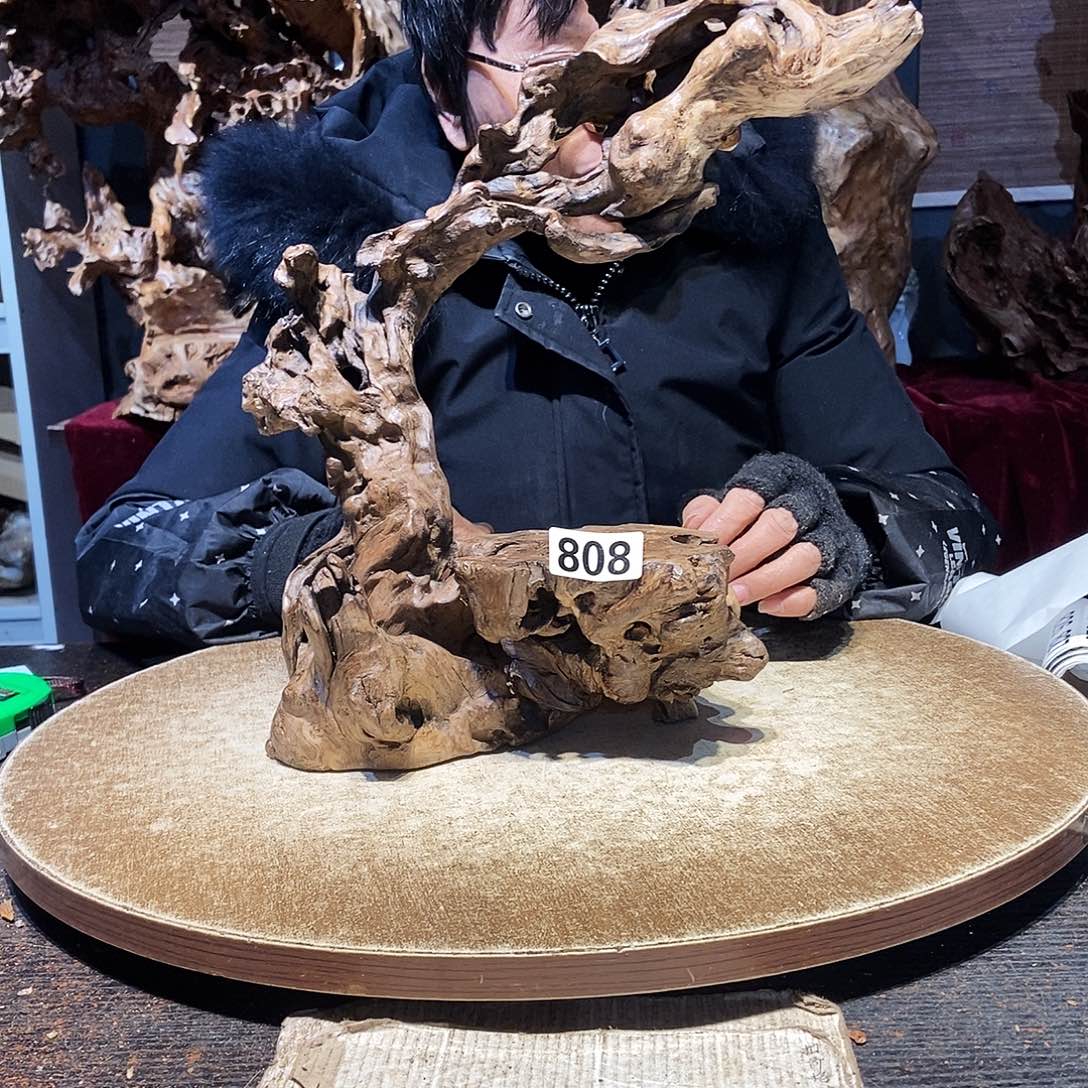 虹***愈808。株木随行根艺