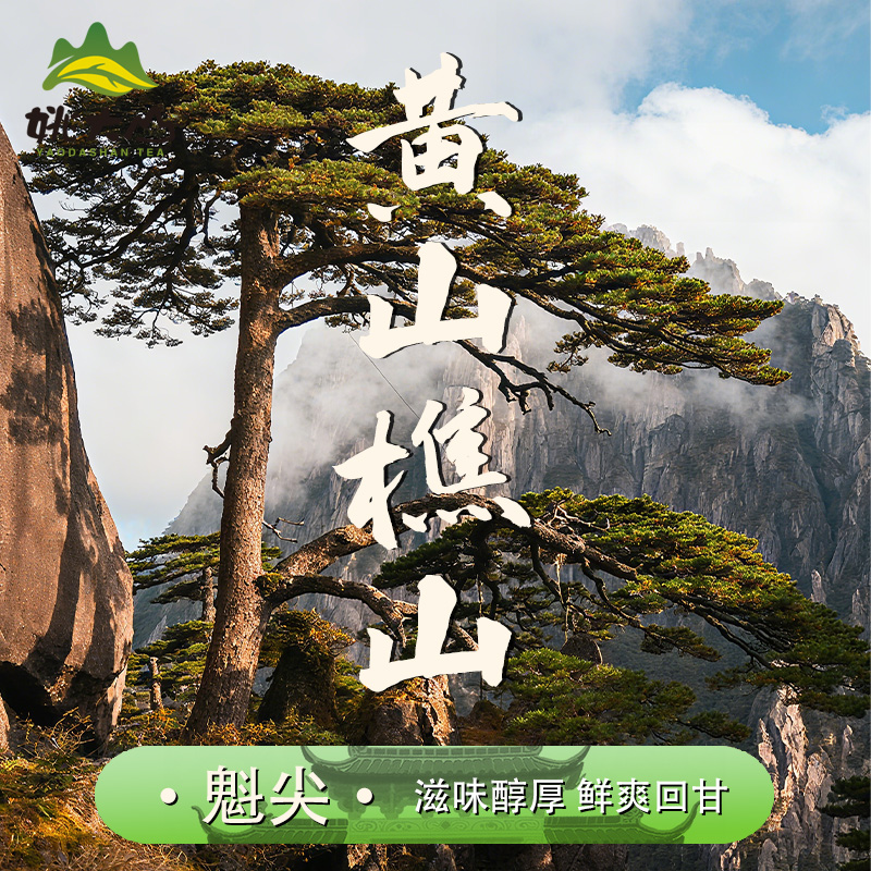 【姚大山】2025魁尖茶  一级绿茶 茶叶