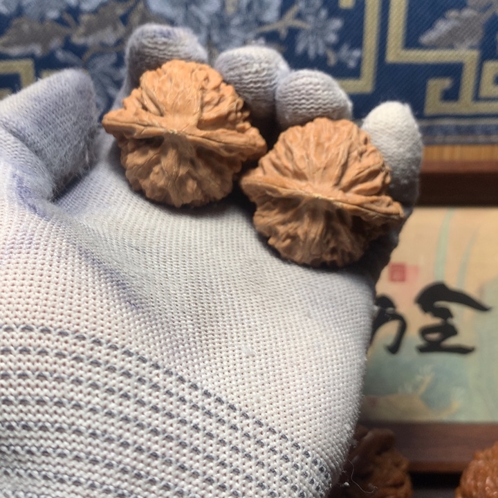 六***言哈哈哈哈哈哈哈哈哈