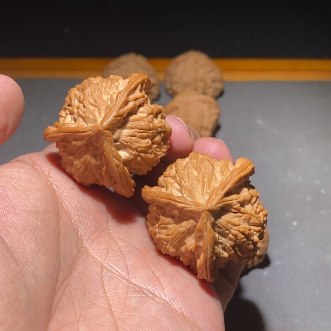 核桃41盘山核桃全品