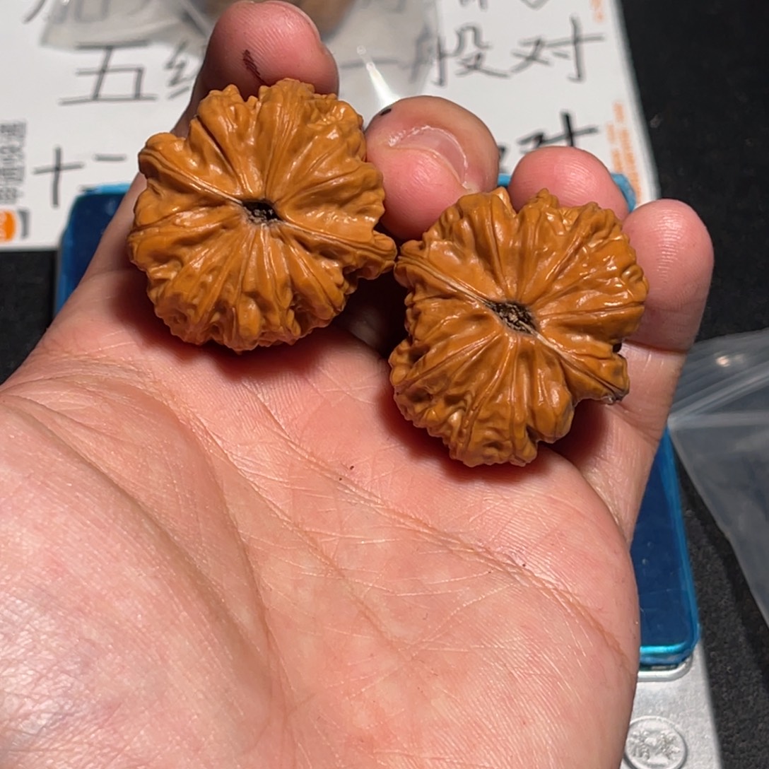 34全品赤龙鸡心无克差已打底