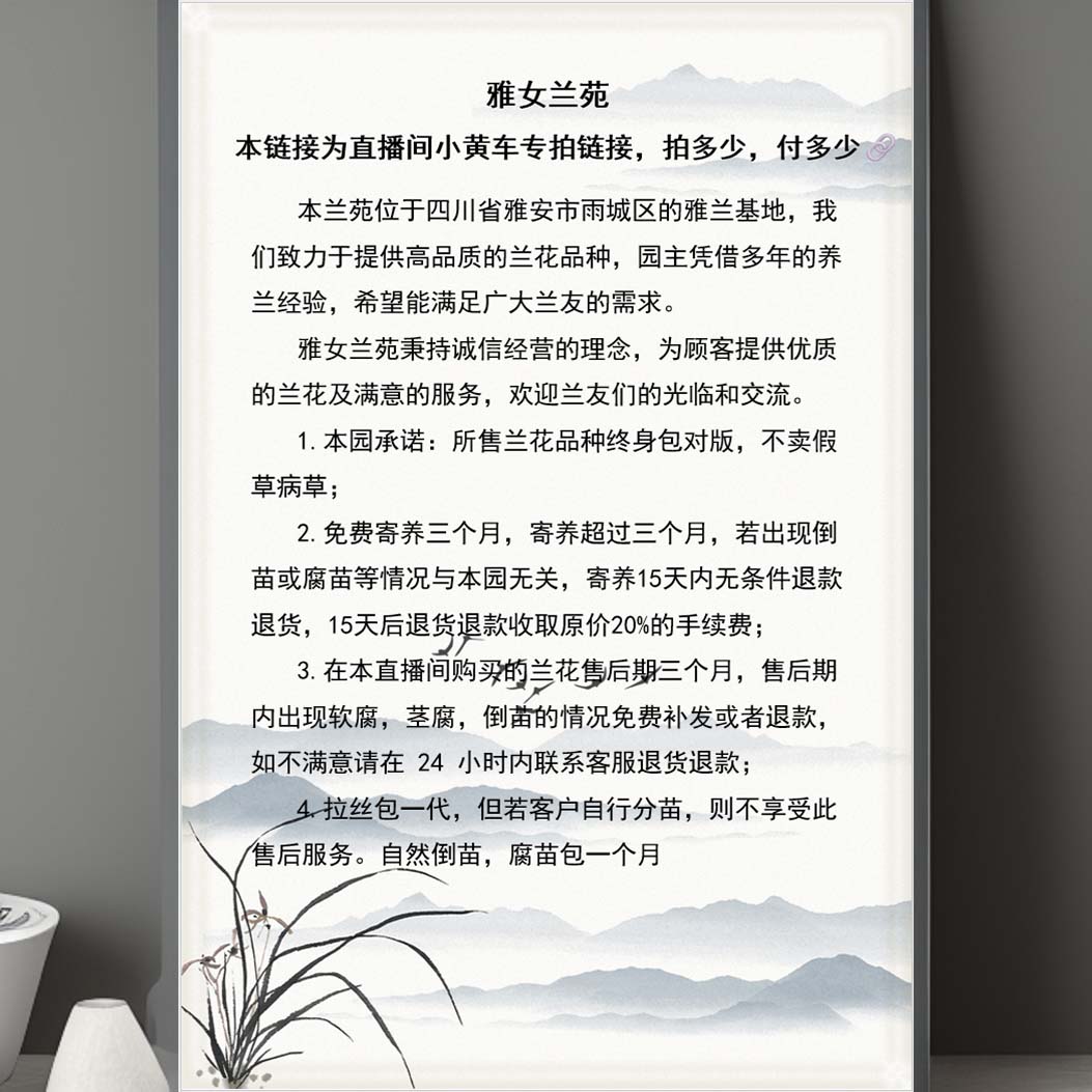 雅女兰苑精品兰花四川兰草盆栽兰草（小黄车专用）兰花盆栽正品