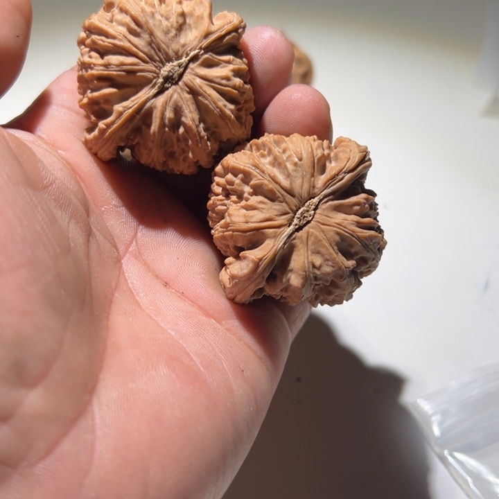 华****把件文玩核桃闷白