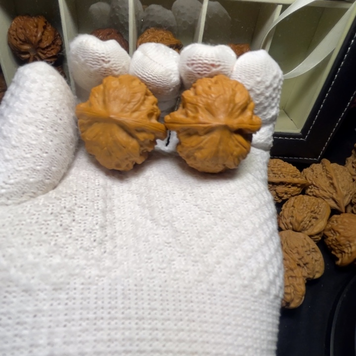 文玩核桃把件野狼