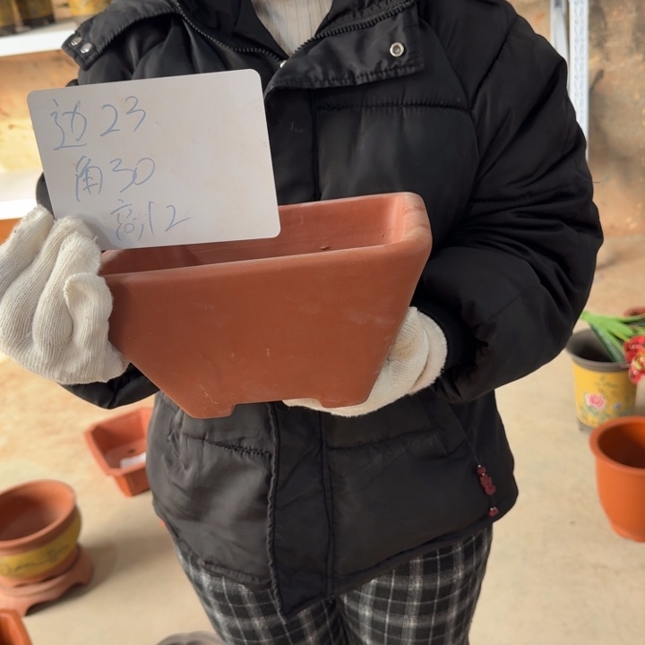 紫砂花盆紫砂花盆//////