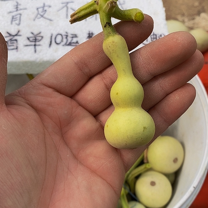 d*武有意义哈哈哈恍恍惚惚这