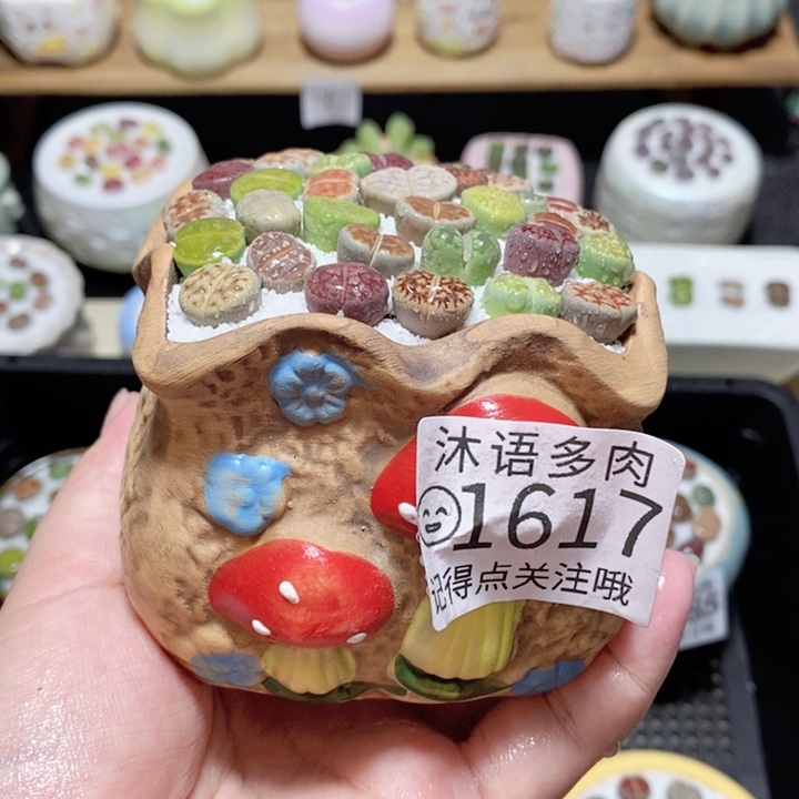 精美盆栽 一物一拍 1617