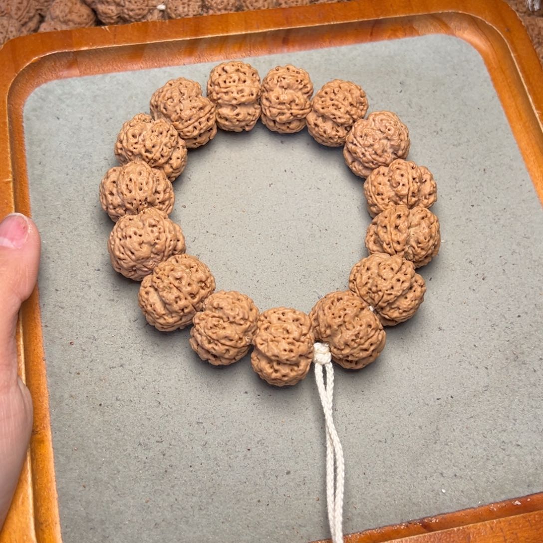 M***w菩提27号金刚菩提龙骨梅花23定制