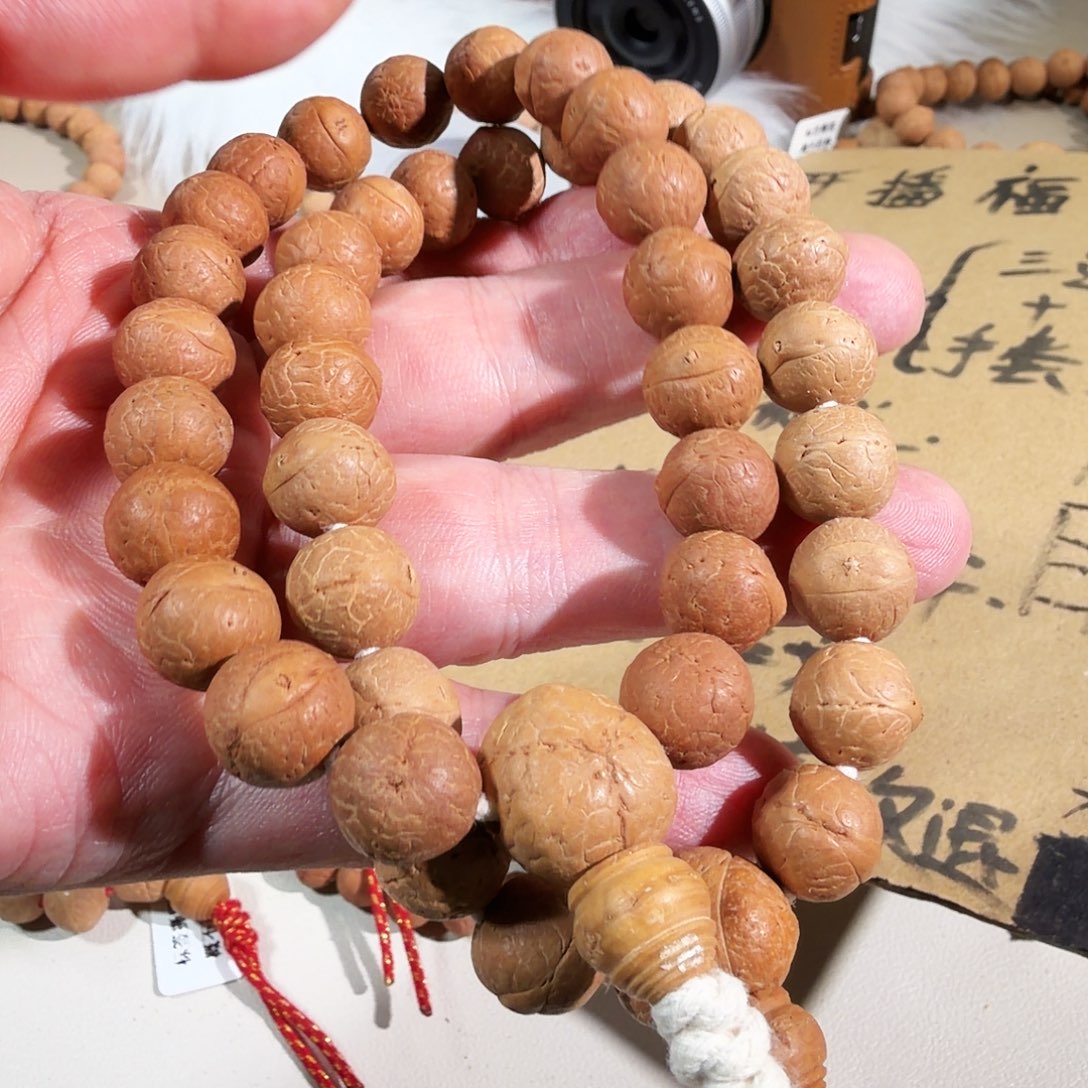 凤眼菩提吊坠凤眼菩提单仓